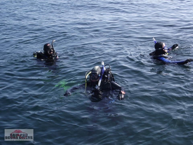 Buzos en aguas abiertas